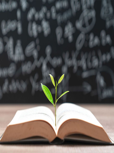 Why Choose BJASM School